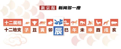 辰年辰月|新闻多一度丨龙年龙月龙日龙时再聚首 超高“龙含量”怎么算？